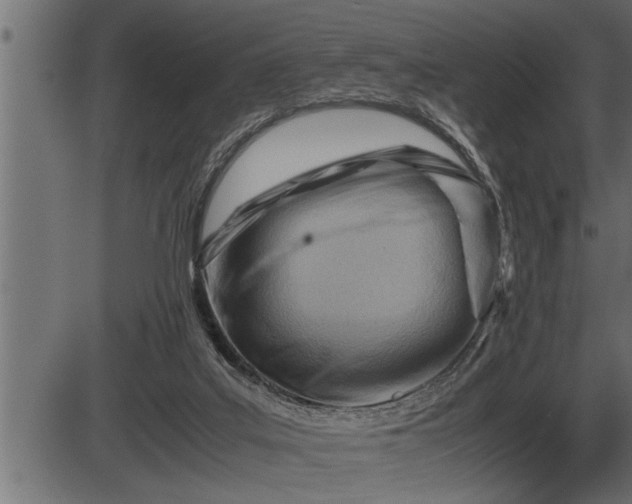 X0000086290019200704091007