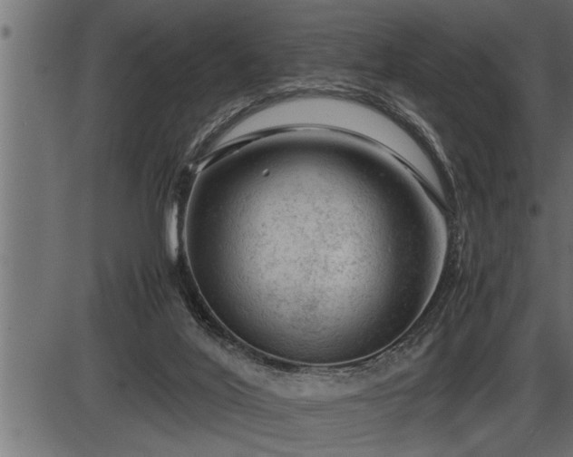 X0000086290020200704091007