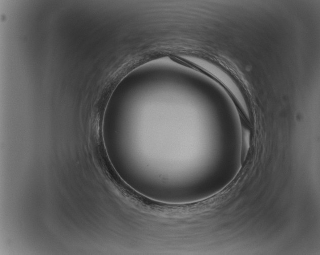 X0000086290021200704091007