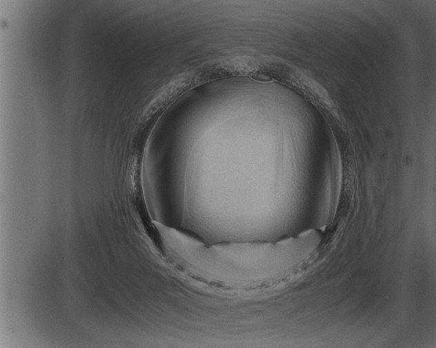 X0000086290023200704091007
