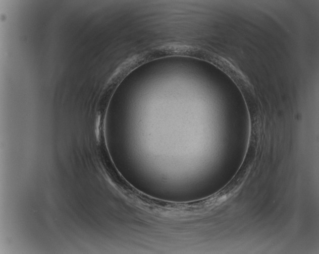 X0000086290024200704091007