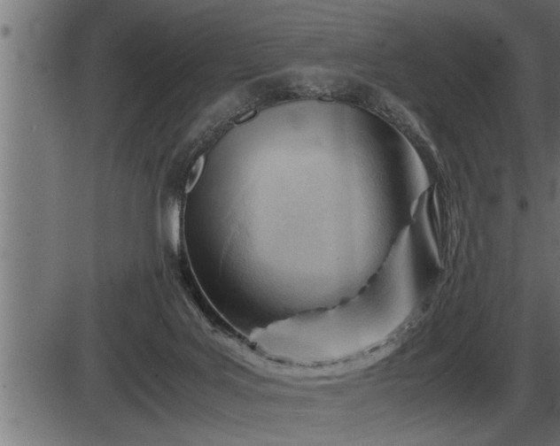 X0000086290027200704091007