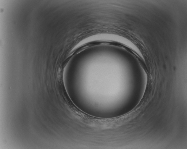 X0000086290033200704091007
