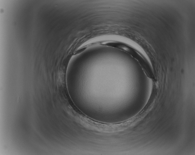 X0000086290035200704091007