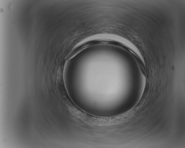 X0000086290037200704091007