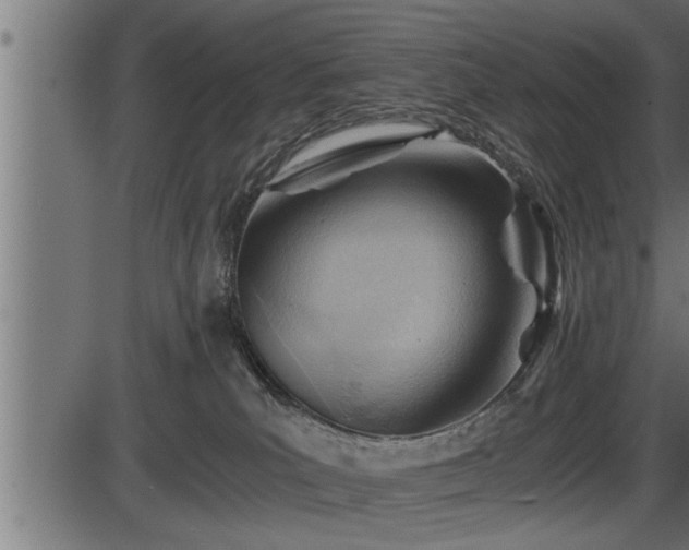 X0000086290039200704091007