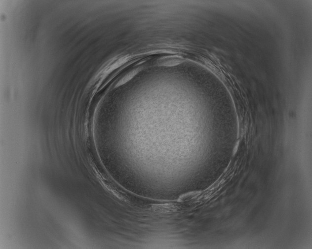 X0000086290050200704091006