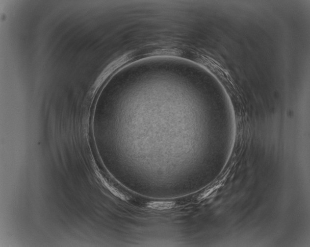 X0000086290051200704091006