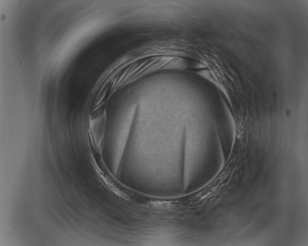 X0000086290052200704091006