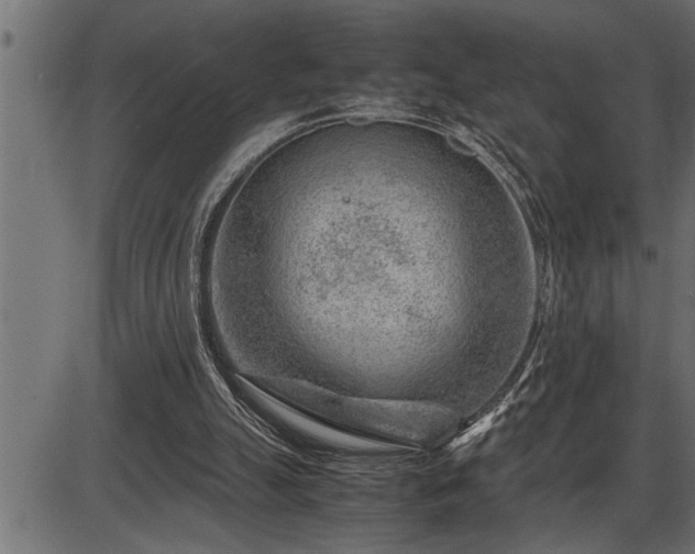 X0000086290055200704091006