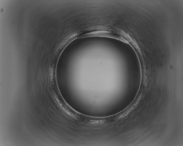 X0000086290057200704091006