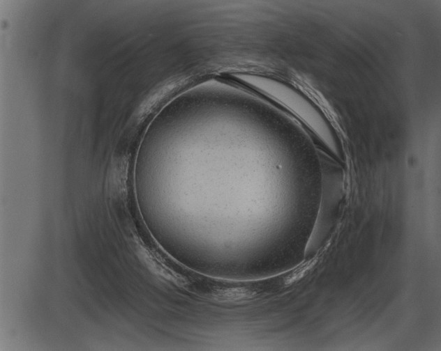X0000086290058200704091006