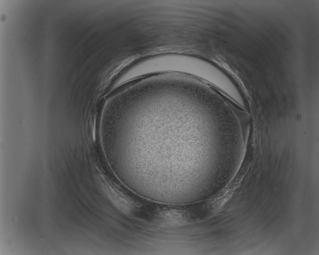 X0000086290062200704091006