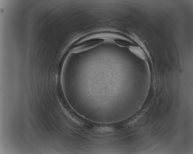 X0000086290063200704091006