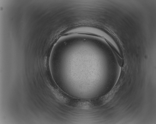 X0000086290066200704091006