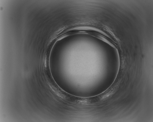 X0000086290068200704091006