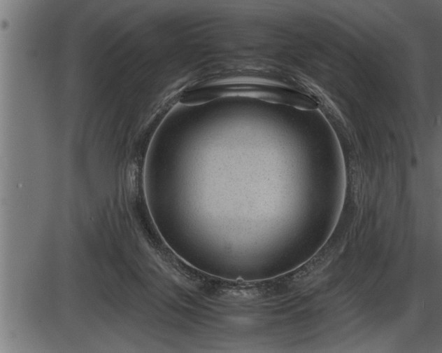 X0000086290071200704091006