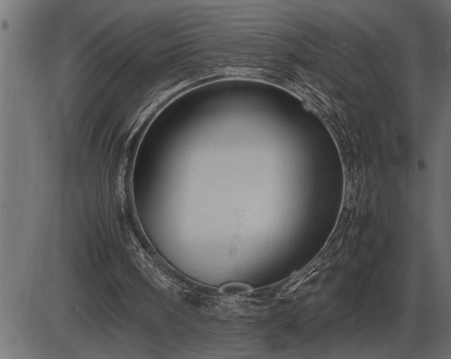 X0000086290098200704091006