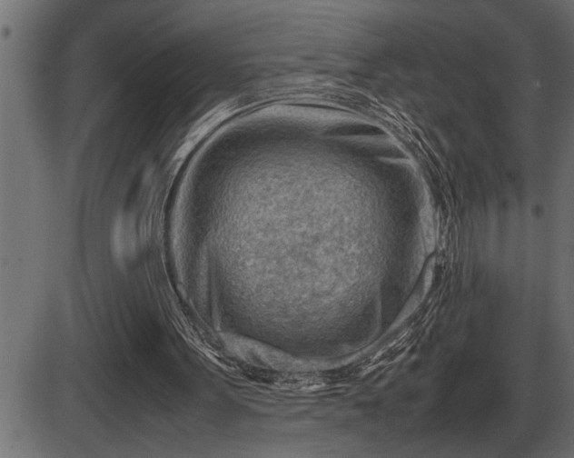 X0000086290099200704091006