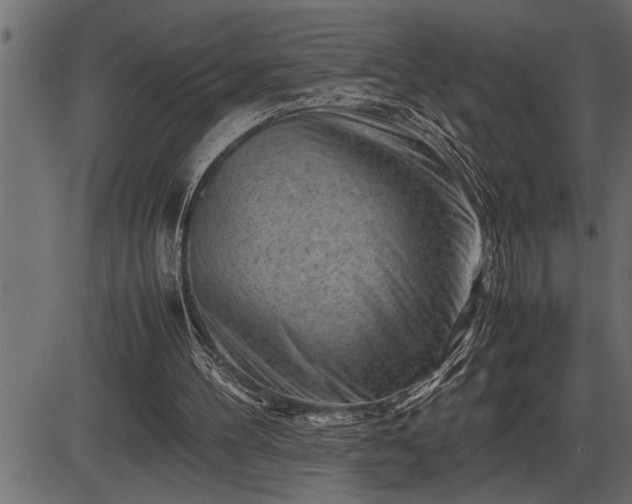 X0000086290100200704091006
