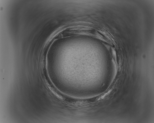 X0000086290101200704091006