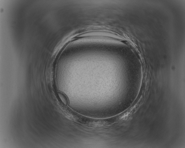 X0000086290103200704091006