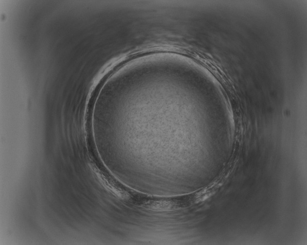 X0000086290104200704091006