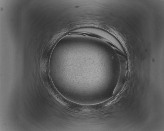 X0000086290105200704091006