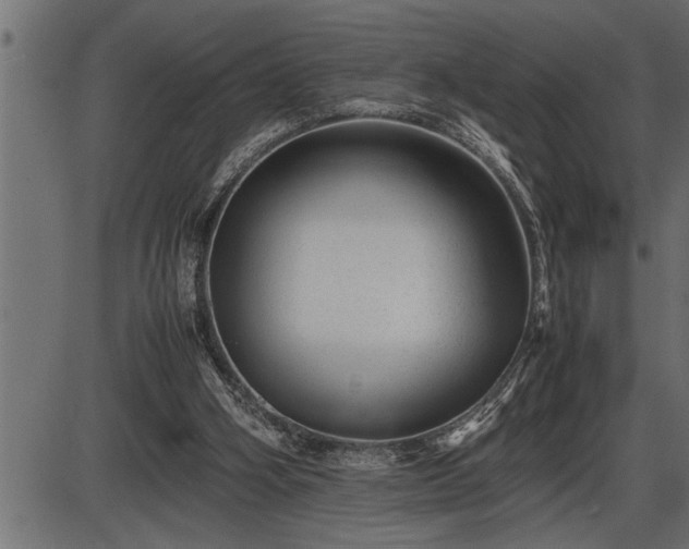 X0000086290106200704091006