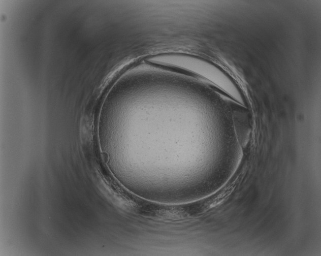 X0000086290107200704091006
