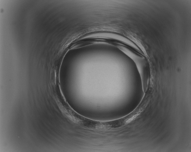 X0000086290109200704091006