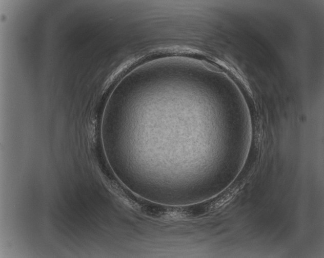 X0000086290111200704091006