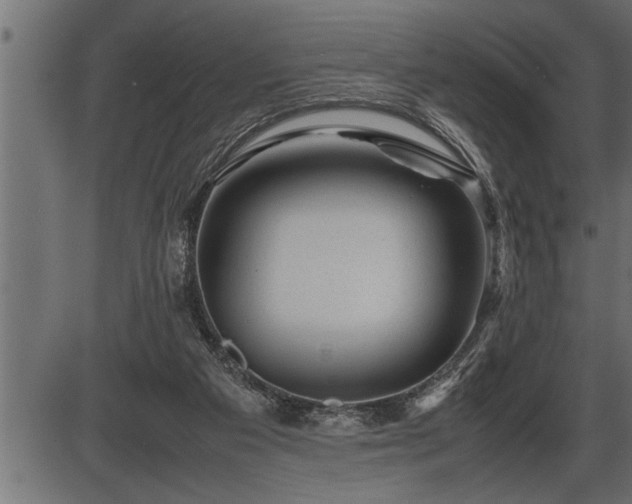 X0000086290113200704091006