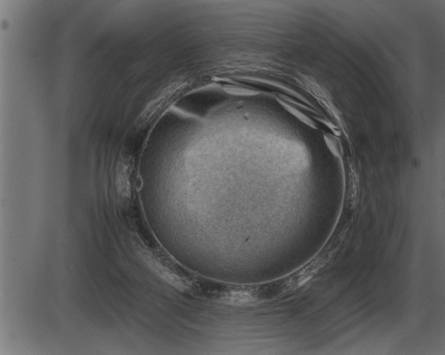 X0000086290114200704091006