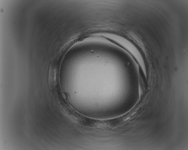 X0000086290115200704091005