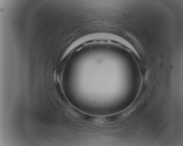 X0000086290121200704091005