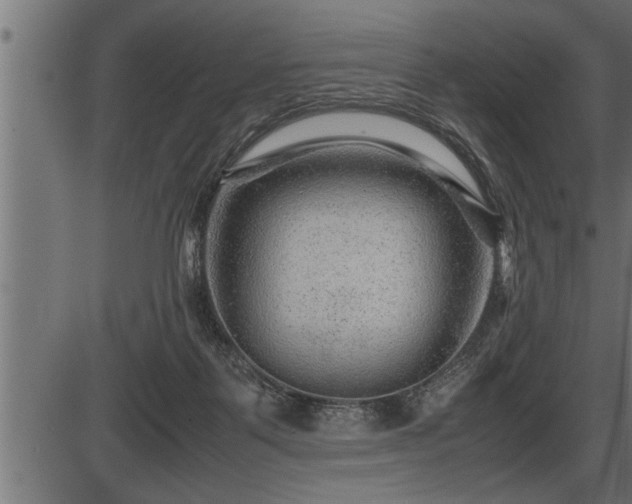 X0000086290123200704091005