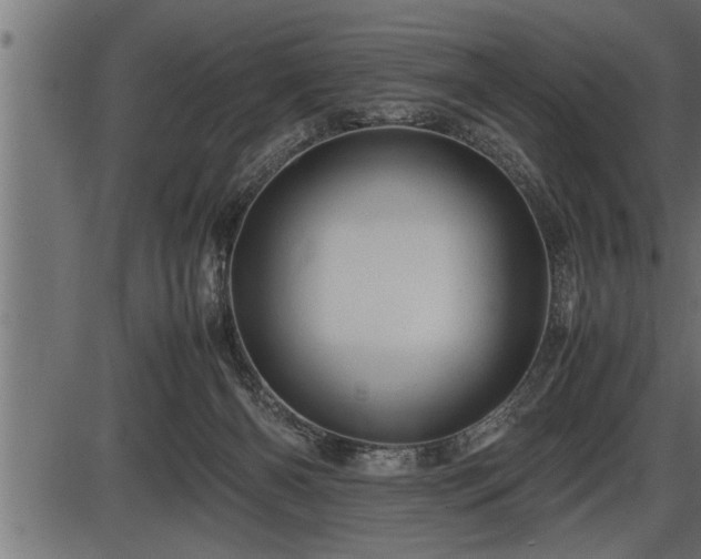 X0000086290126200704091005