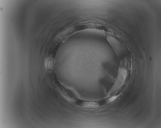 X0000086290137200704091005