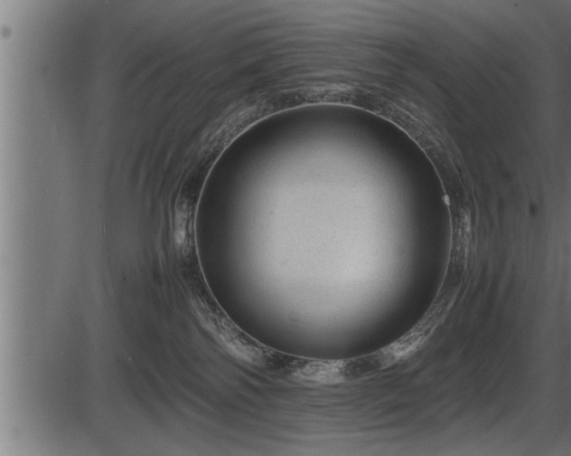 X0000086290138200704091005