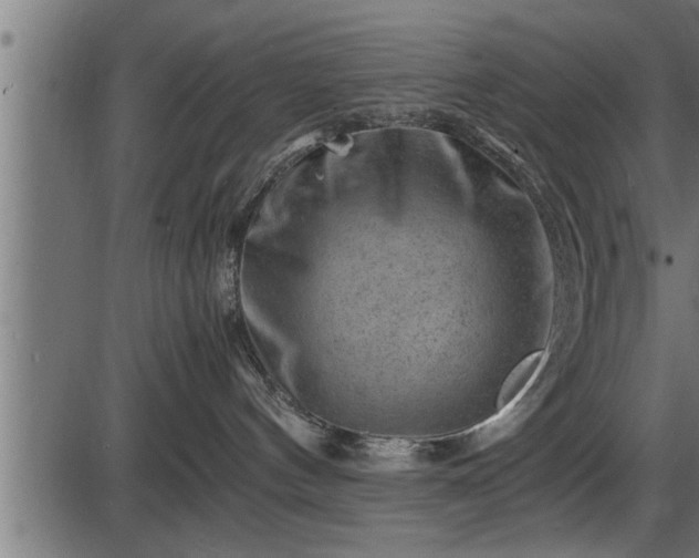 X0000086290144200704091005