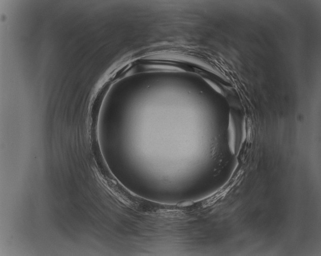 X0000086290150200704091004