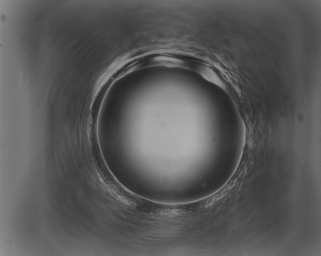 X0000086290152200704091004