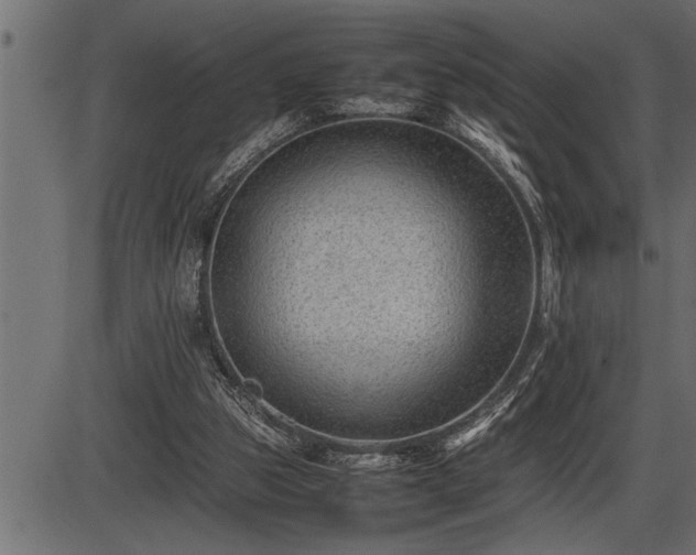 X0000086290153200704091004