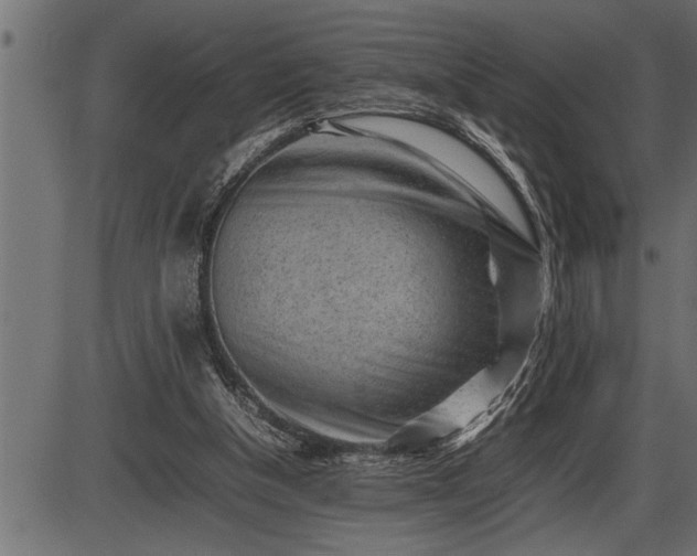 X0000086290154200704091004
