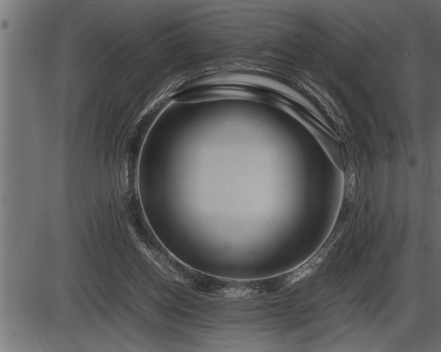 X0000086290158200704091004
