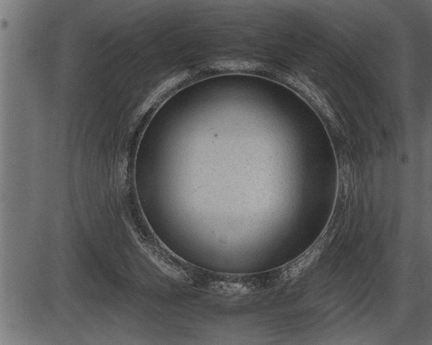 X0000086290159200704091004