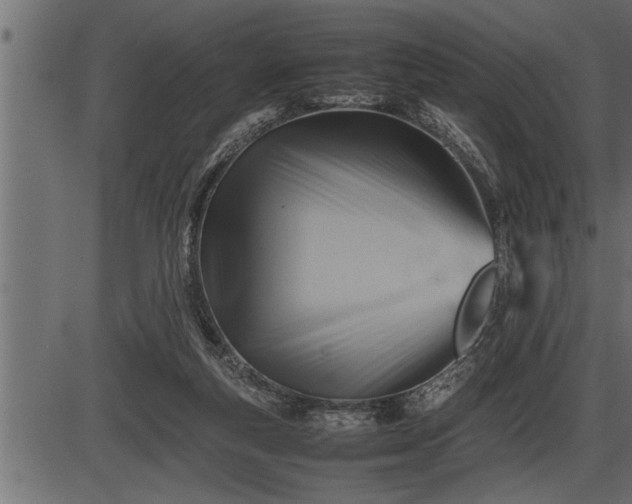 X0000086290163200704091005