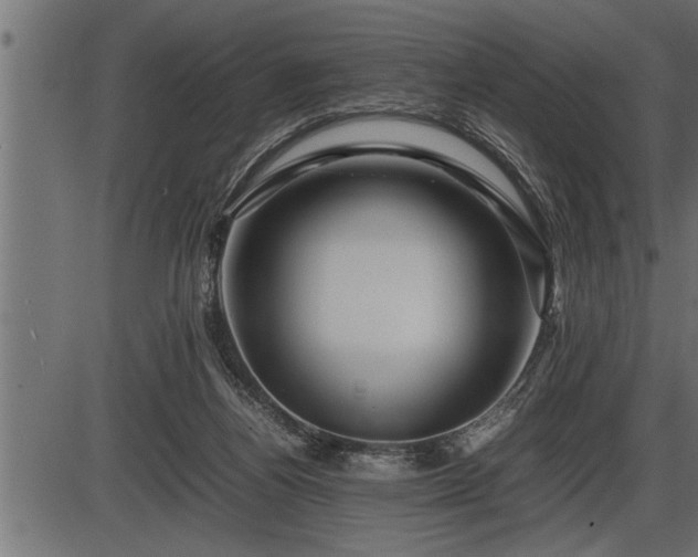 X0000086290164200704091005