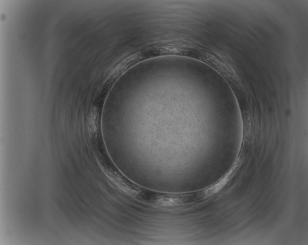X0000086290174200704091005